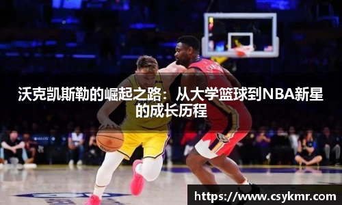 完美体育