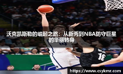 完美体育官网